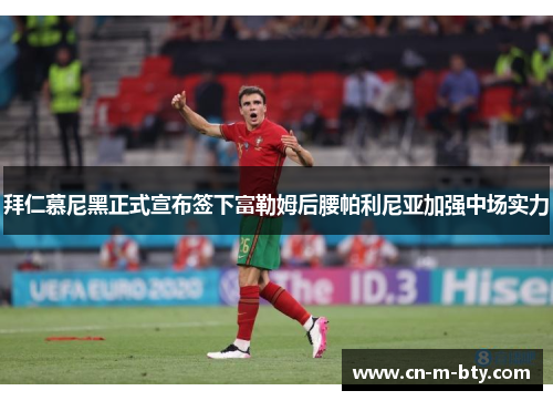 拜仁慕尼黑正式宣布签下富勒姆后腰帕利尼亚加强中场实力 拜仁慕尼黑正式宣布签下富勒姆后腰帕利尼亚加强中场实力