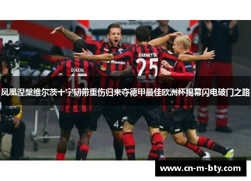 凤凰涅槃维尔茨十字韧带重伤归来夺德甲最佳欧洲杯揭幕闪电破门之路